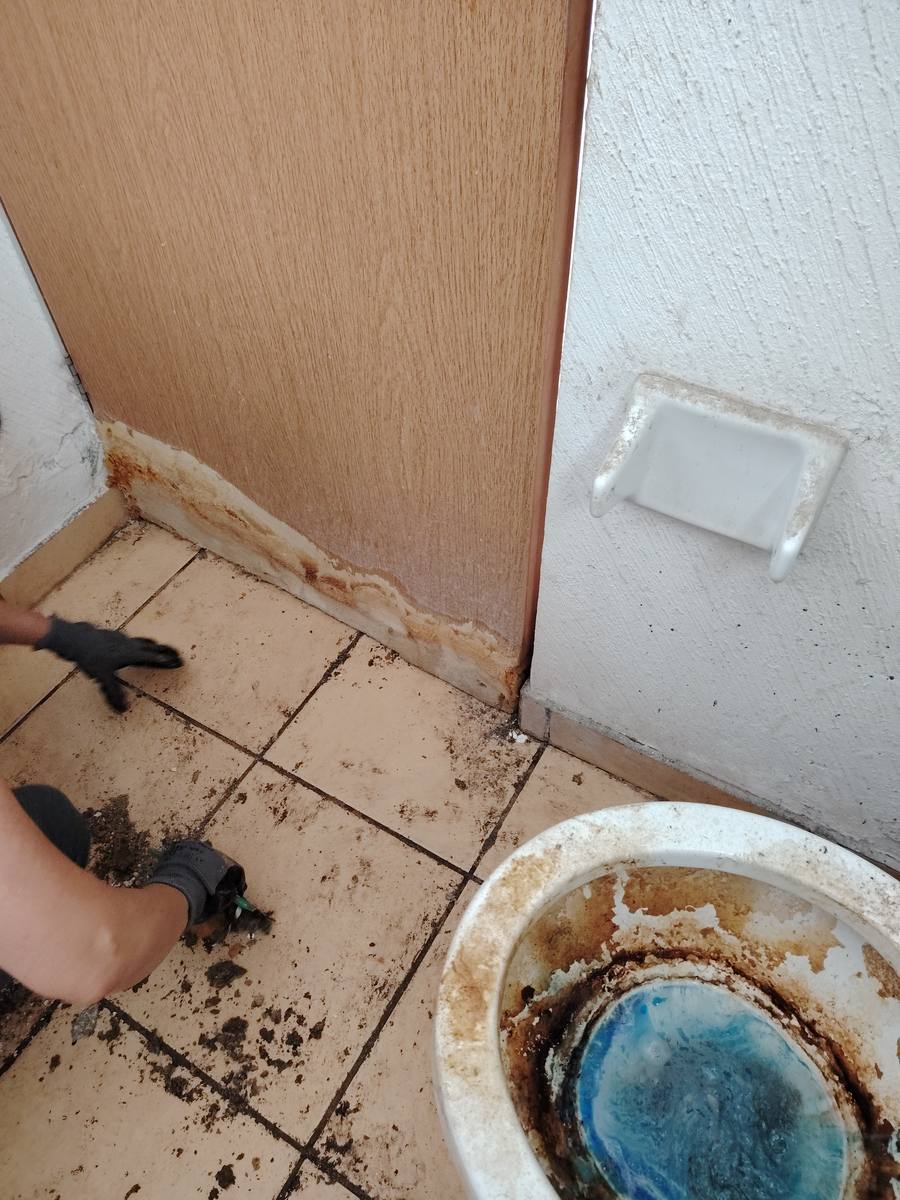 Durante: limpieza profunda de baño